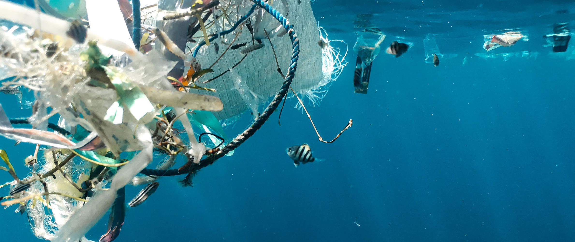 Are beads destroying our environment?